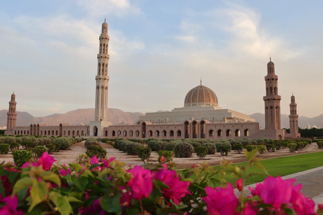 Oman Postpones Regional Talks on Hormuz Amid Rising Tensions
