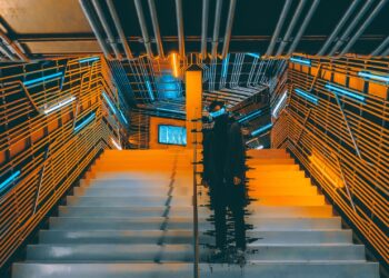 Strategic career pivots reshape economic mobility