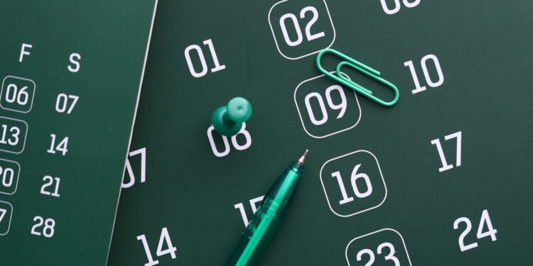 Structured 90‑Day Blueprint Accelerates Promotion Trajectories