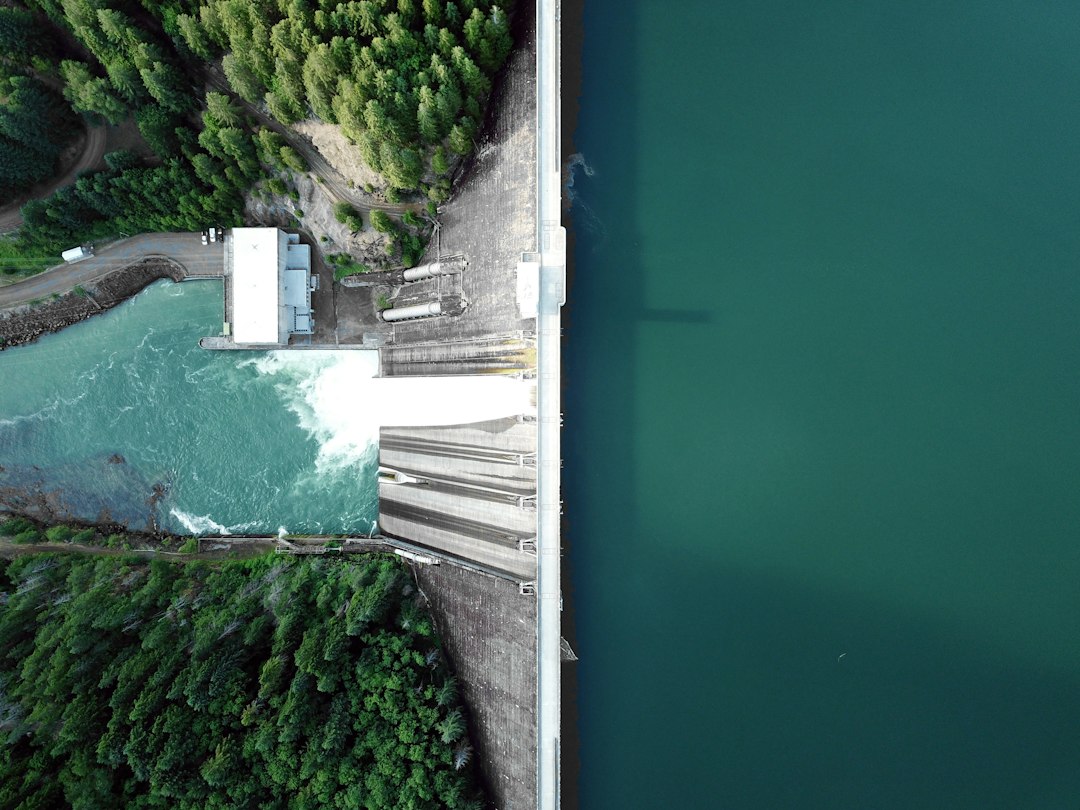 NTPC and EDF Join Forces for Renewable Energy Projects in India