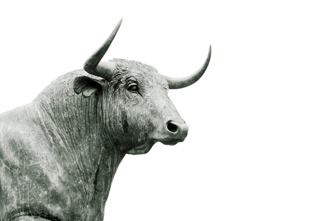 Bulls Face Pressure Amid Weak Technical Setup