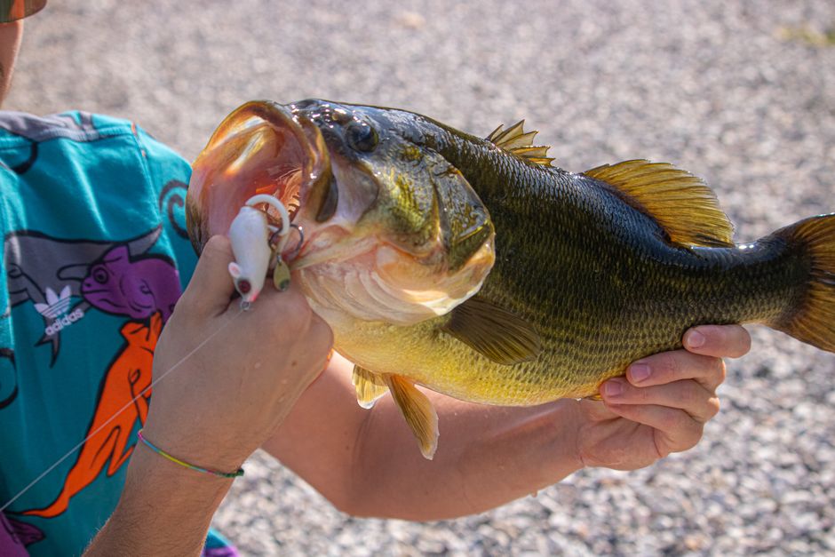 Need Help Paying for College? Try Bass Fishing.