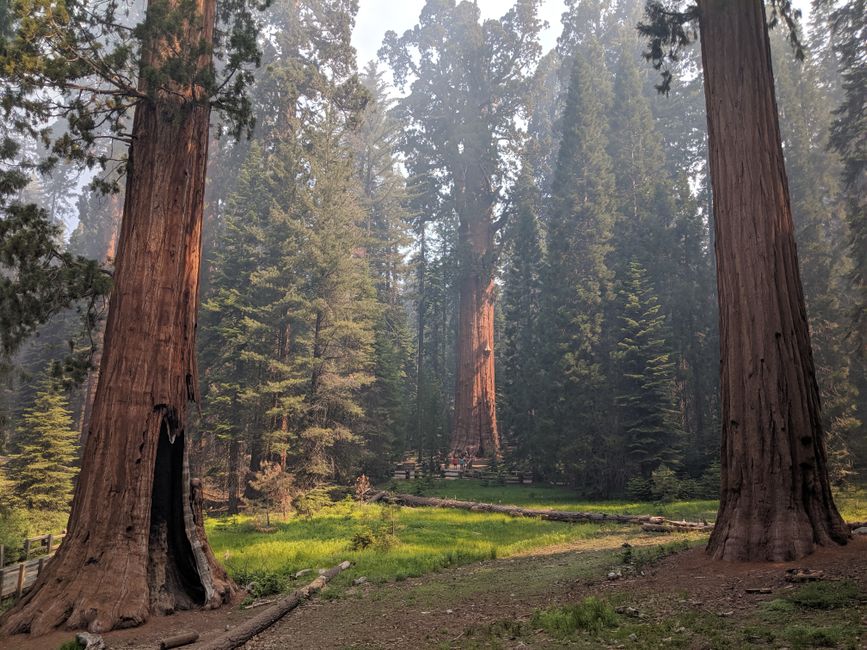 The Impact of Sequoia and Nvidia's Funding on Robotics Jobs
