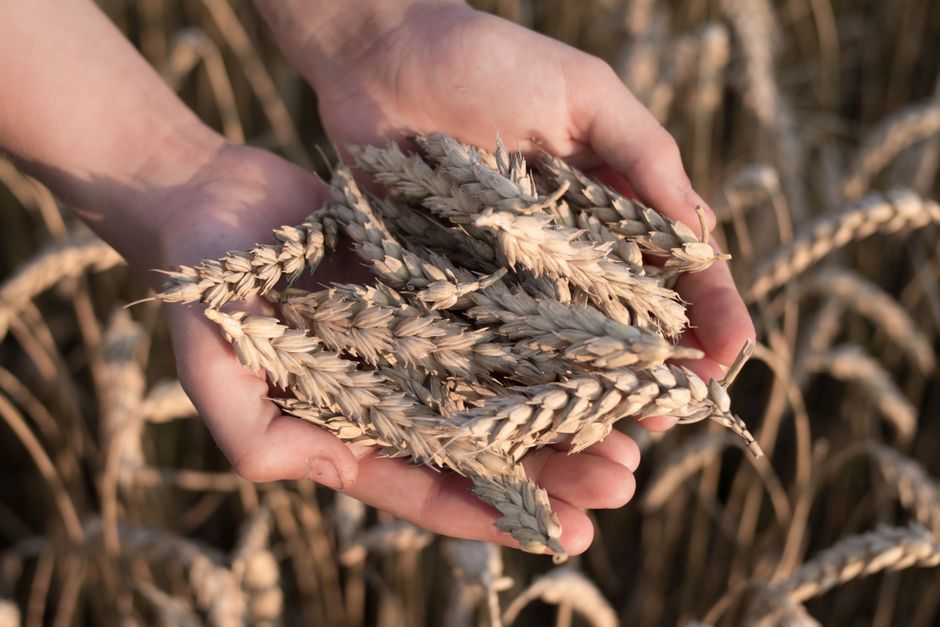 The Impact of Yield Increases on Equity Strategies