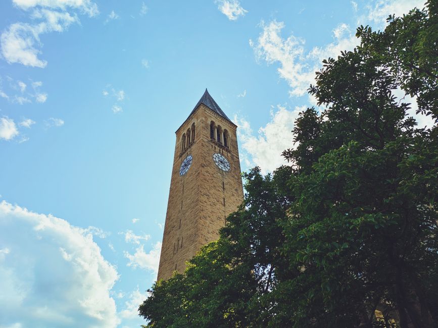 Cornell’s Campus Culture Transformation