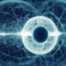 AI and Solo Ventures Redefine Global Entrepreneurship