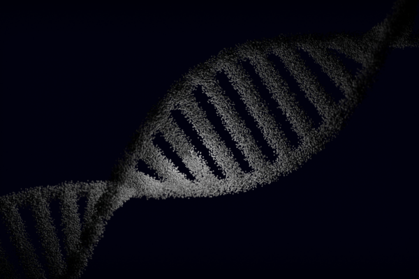 Bioinformatics literacy reshapes K‑12 STEM pipelines