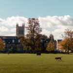 Autumn trees and lawn before campus architecture in Cambridge, illustrating UK universities facing levy-related fee losses.