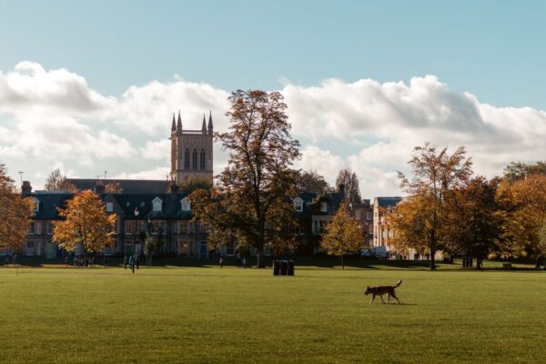 Autumn trees and lawn before campus architecture in Cambridge, illustrating UK universities facing levy-related fee losses.