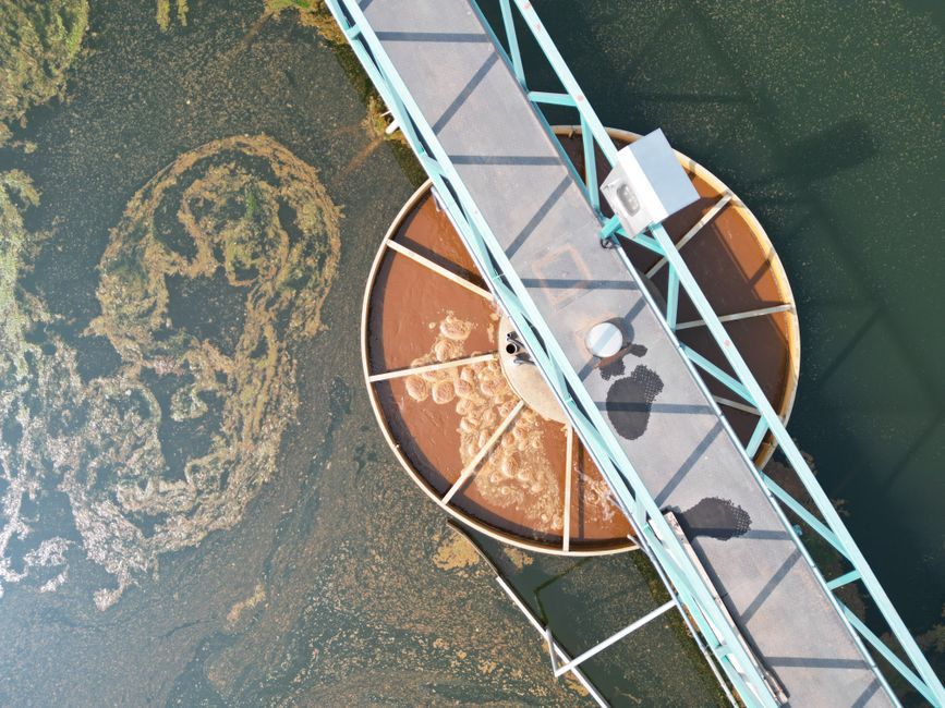 An aerial view of a water treatment facility with algae, illustrating England's water firm report.