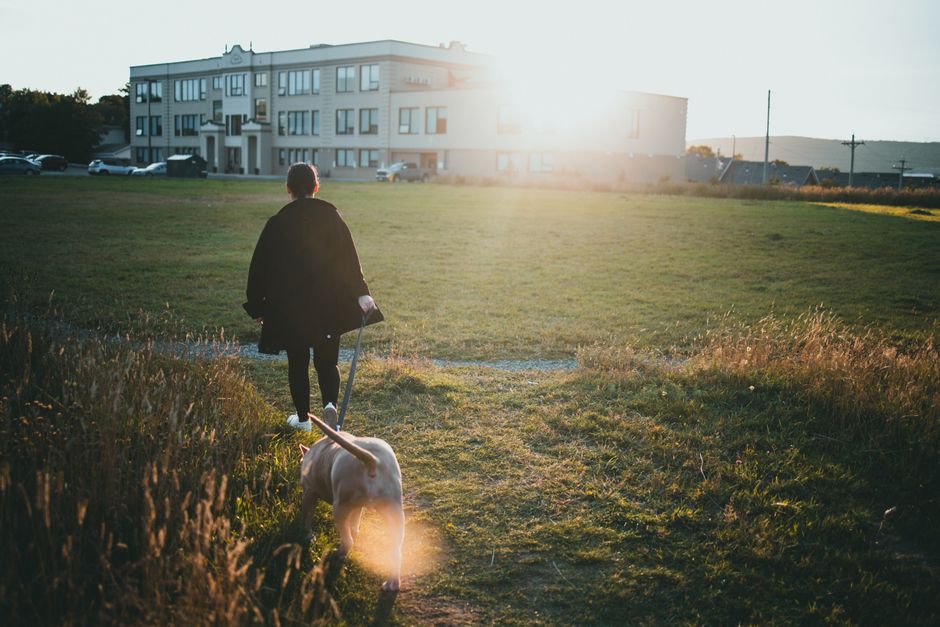 A person walks a dog in a sunlit park with buildings behind, illustrating the robot dog walking job article.