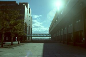 Sun shining brightly on a city street, illustrating the urban work environment affected by AI layoffs.