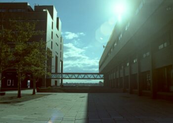 Sun shining brightly on a city street, illustrating the urban work environment affected by AI layoffs.
