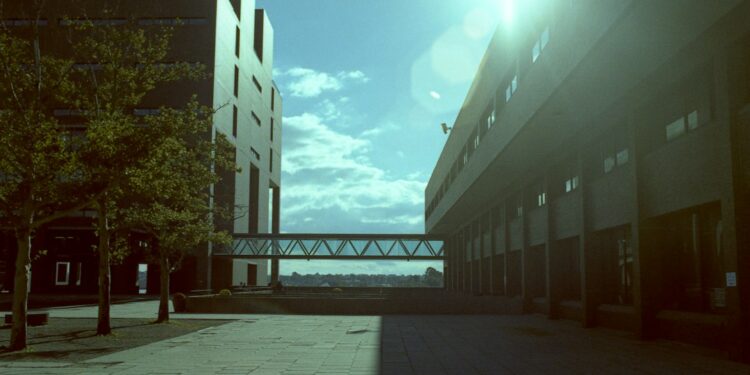 Sun shining brightly on a city street, illustrating the urban work environment affected by AI layoffs.