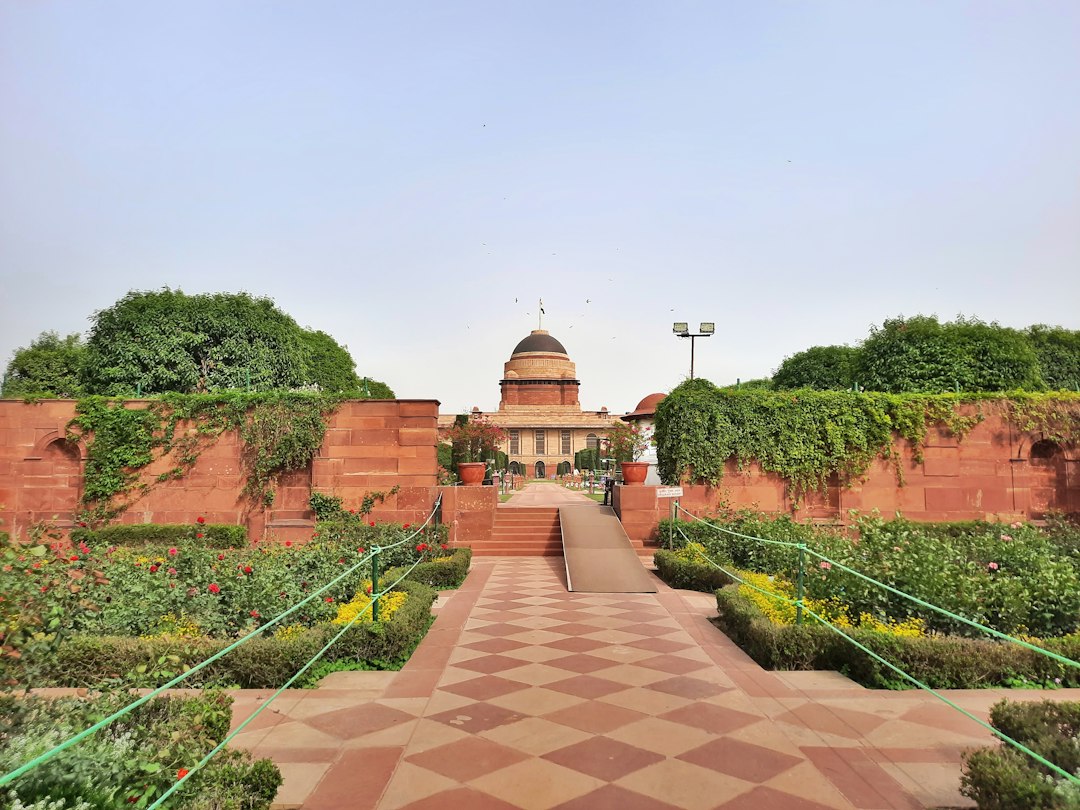 Delhi University Eases Promotion Rules for 2025-26 Batch