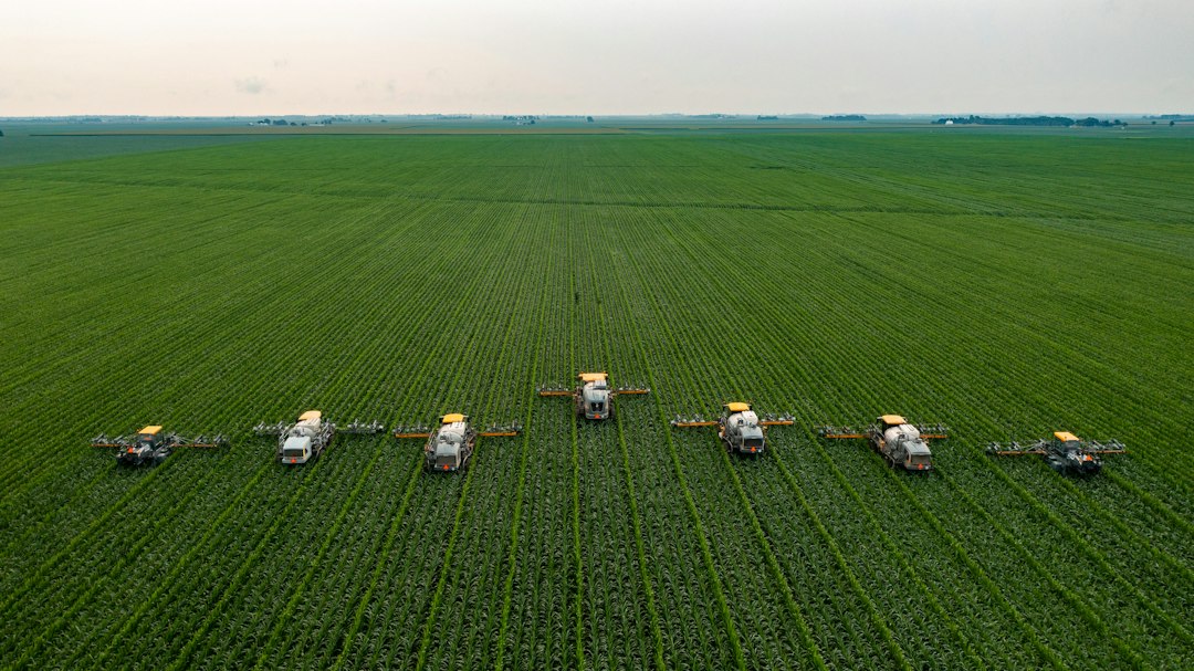 Ethanol Blending Diversifies India's Agricultural Landscape